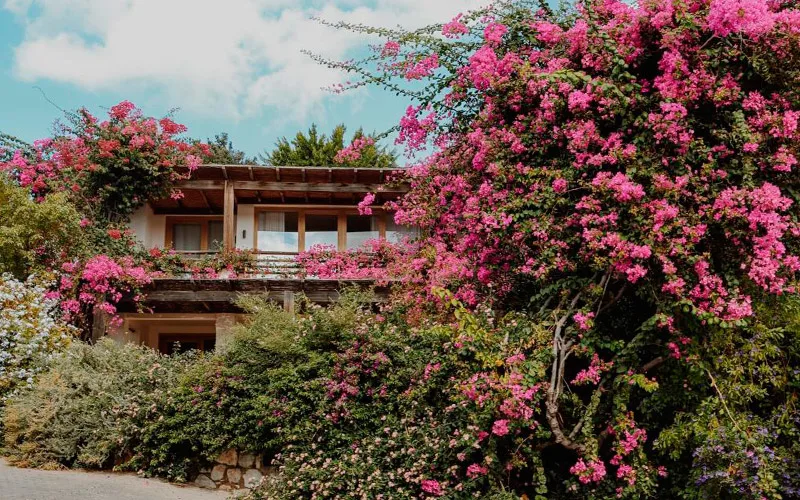 bodrum maca kizi private transfer