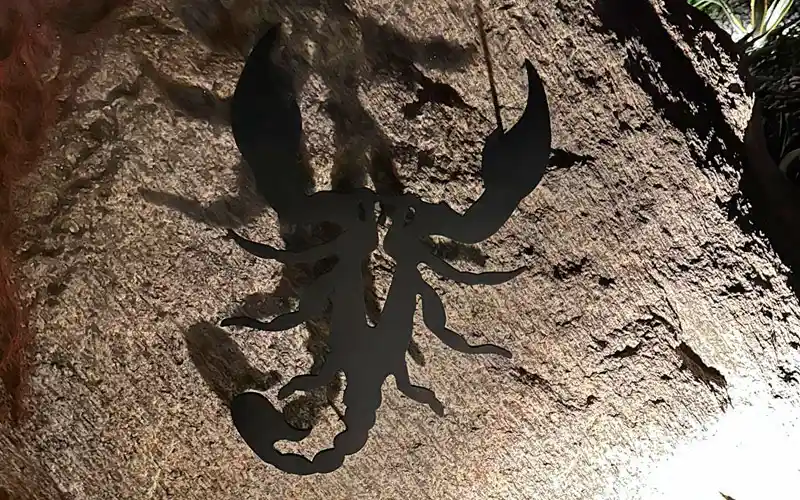 bodrum mandarin oriental scorpios transfer