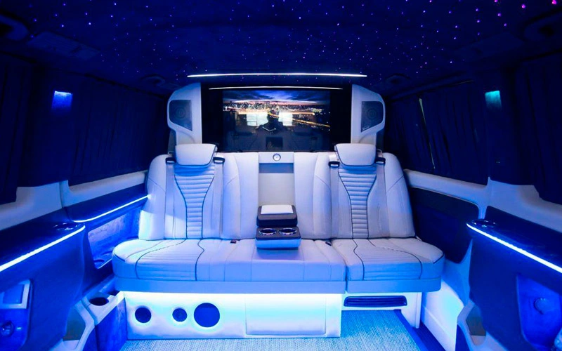 bodrum professional driver service